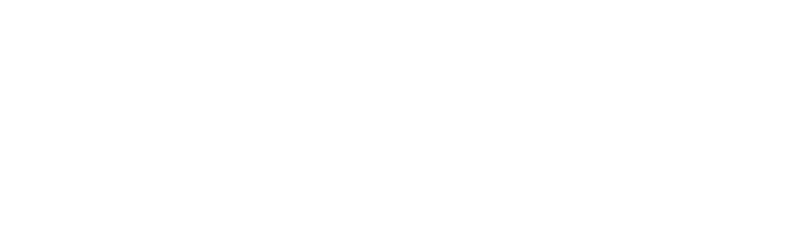HERR ANGERER